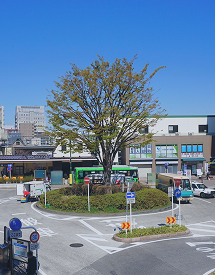 小田急線「向ヶ丘遊園」駅